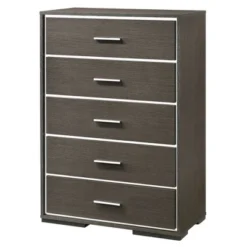 34" Escher Chest Gray Oak - Acme Furniture